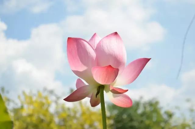 2012年6月8日是什么命_庚子命命好不好