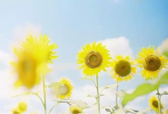 28星宿在天庭的地位怎么样  星宿下凡的人都是好命吗