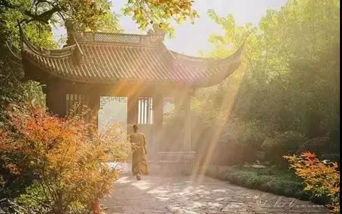 2010年11月8日是什么命_壬戌命命好不好