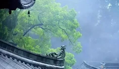 鼻子小的女人有福气吗