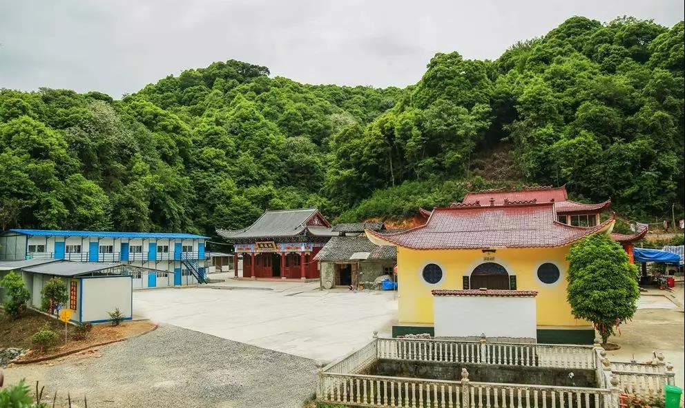 桉字取名是凶还是吉  桉字取名忌讳
