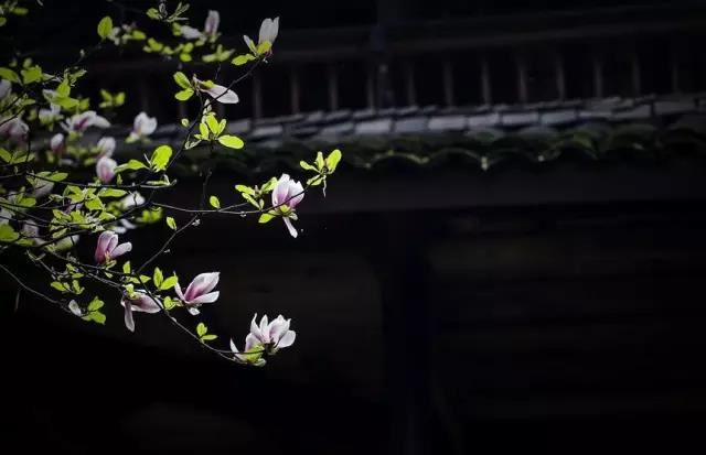 东方是一个充满生机的方位