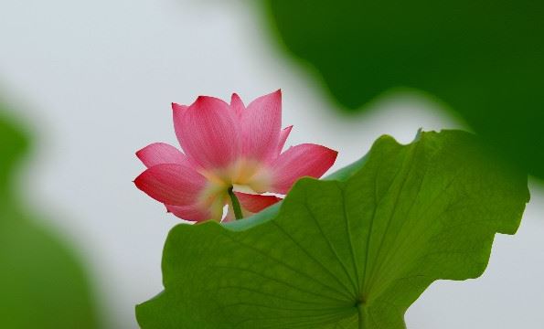 衣柜放哪个方向好  柜子怎么摆放方向风水好