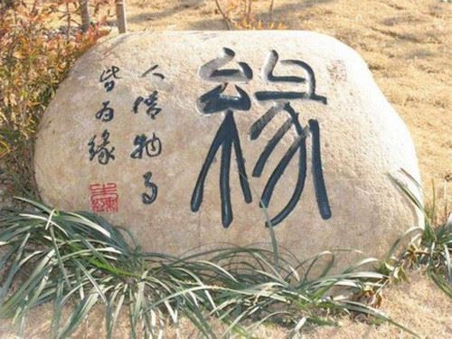 眼神强面相,眼神强的面相