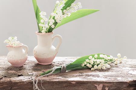 紫薇命盘化科星在夫妻宫怎么样 紫微命盘夫妻宫生年化科