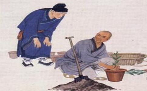 命运测试算命免费 命运测试算命可信吗